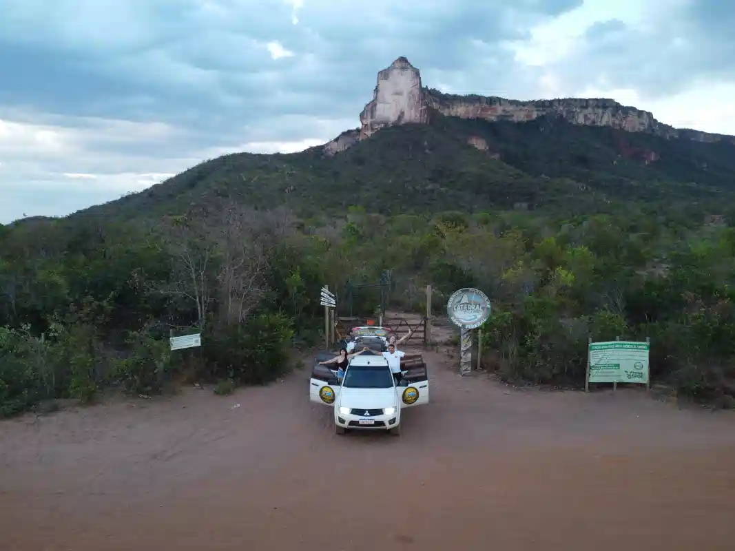 Grupo Veredas